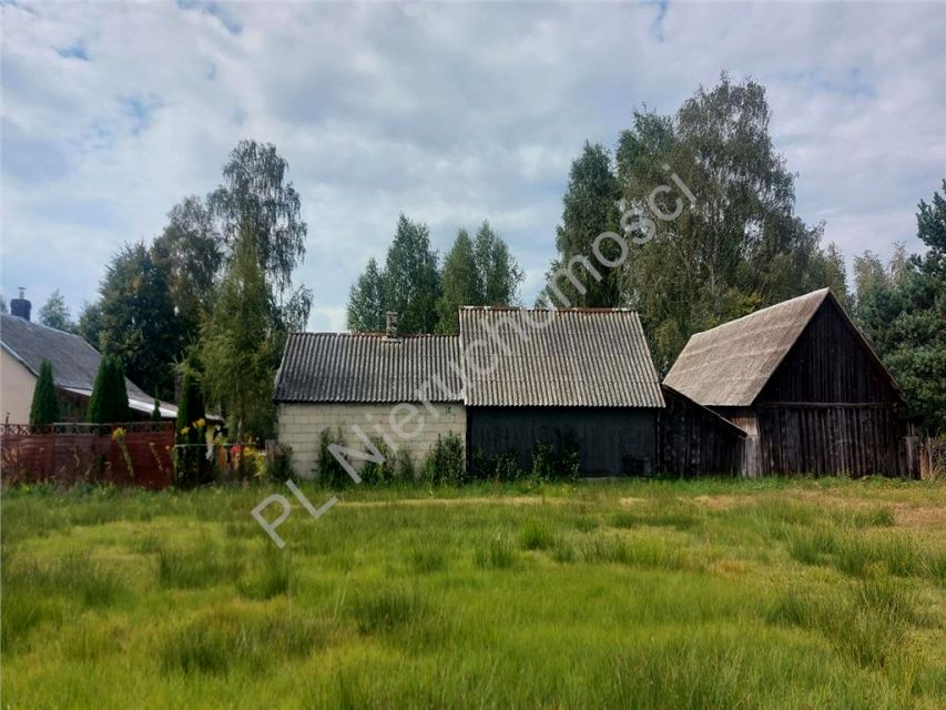 Zdjęcie 3