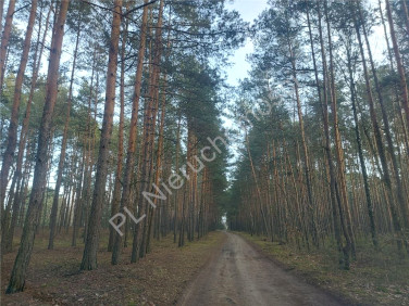 Działka budowlana Rżyska