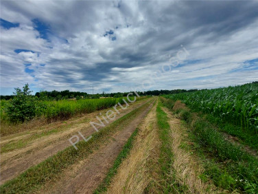 Działka budowlana Równe