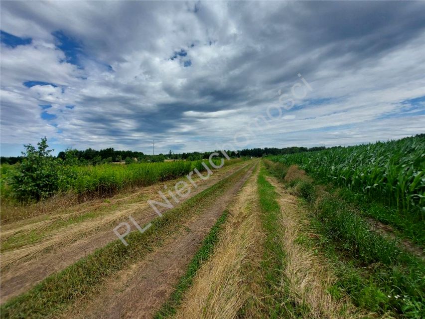 Działka budowlana Równe