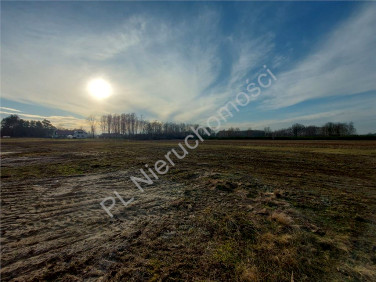 Działka budowlana Chajęty