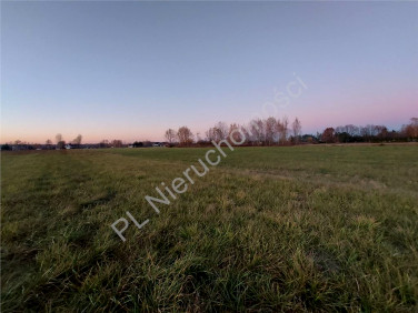 Działka budowlana Roszczep