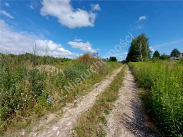 Działka budowlana Dzięcioły