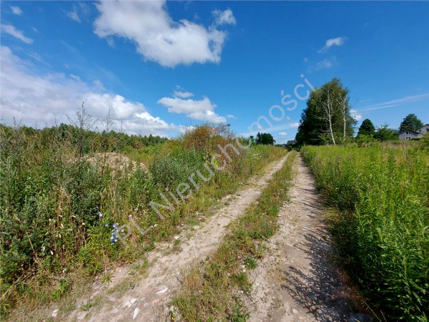 Działka budowlana Dzięcioły