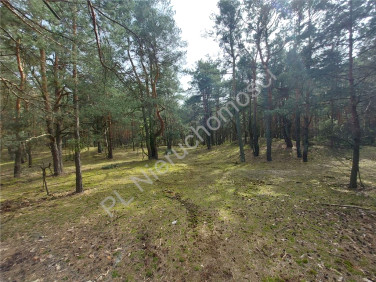 Działka budowlana Arciechów