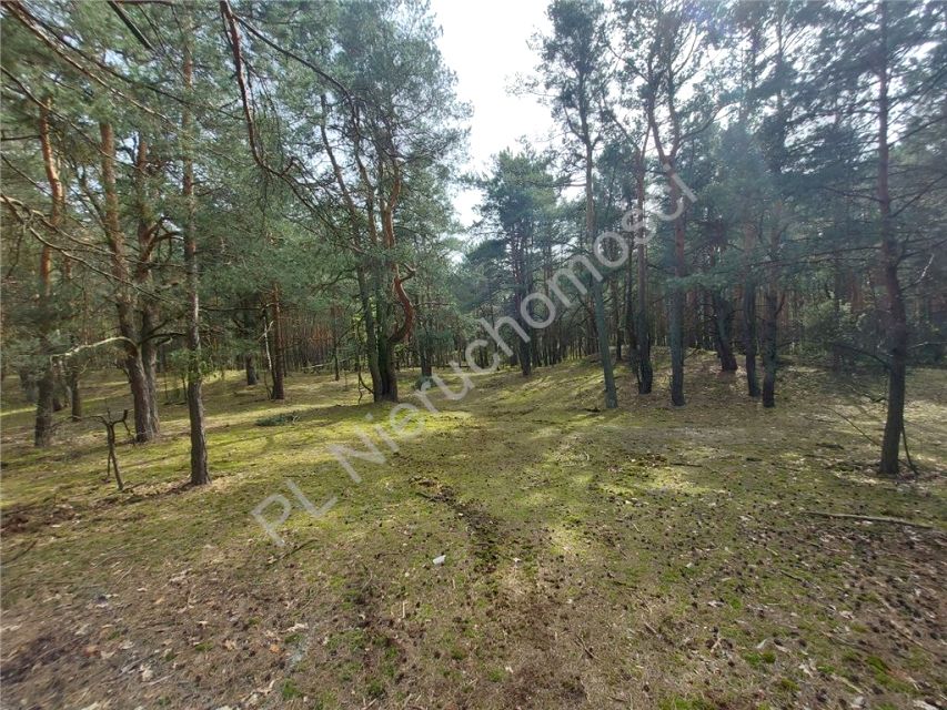 Działka budowlana Arciechów