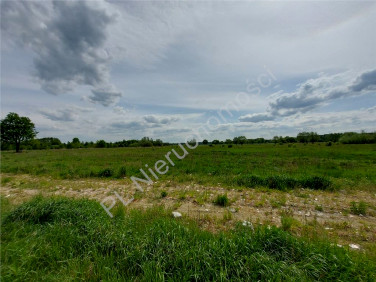 Działka budowlana Ruda