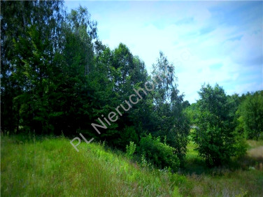 Działka budowlana Dręszew