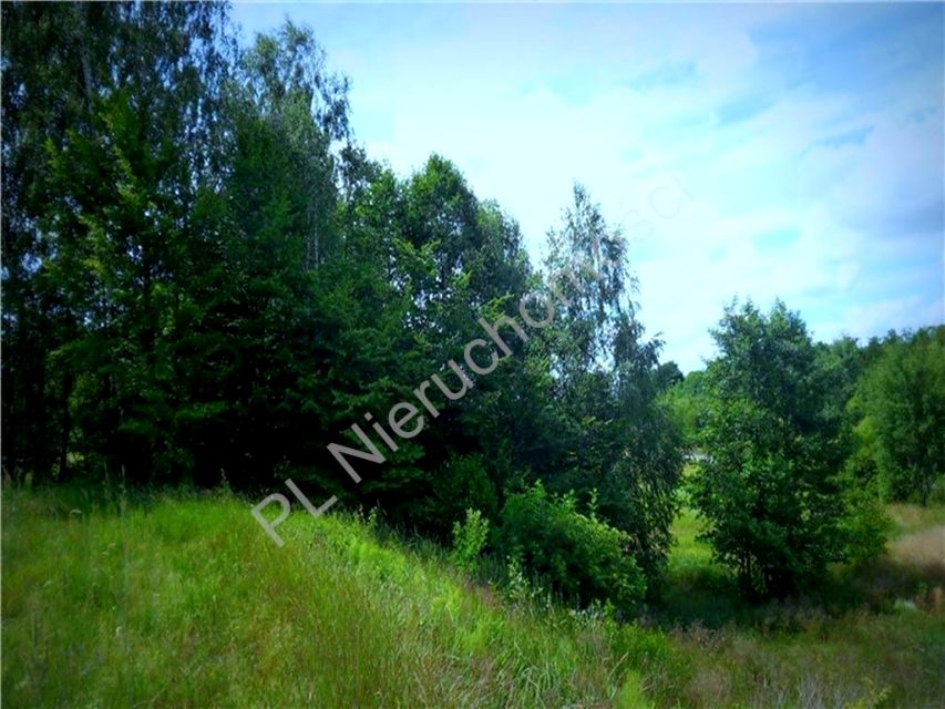 Działka budowlana Dręszew