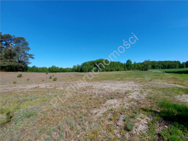 Działka budowlana Nowe Ręczaje