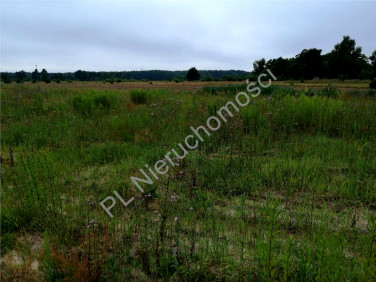 Działka rekreacyjna Marianów