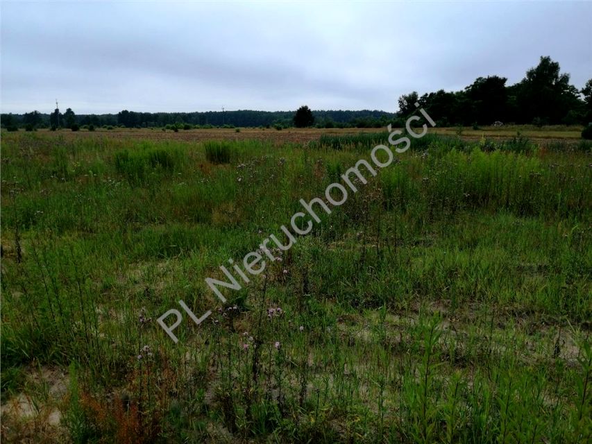 Działka rekreacyjna Marianów