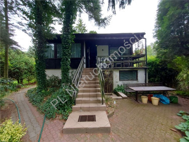 Dom Łosie sprzedaż