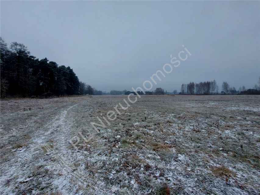 Działka rolna Łąki