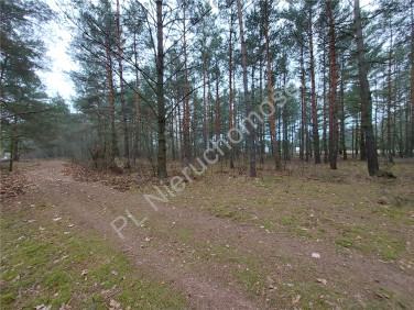 Działka budowlana Arciechów