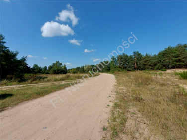 Działka budowlana Kołaków