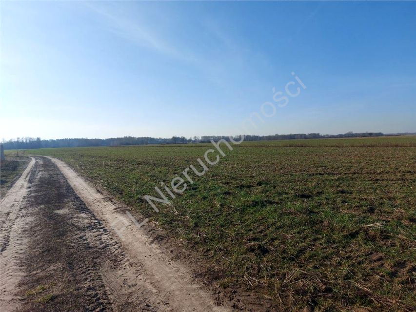 Działka budowlana Chajęty