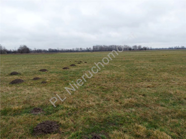 Działka budowlana Tuł