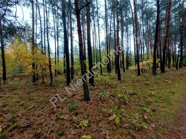 Działka budowlana Arciechów