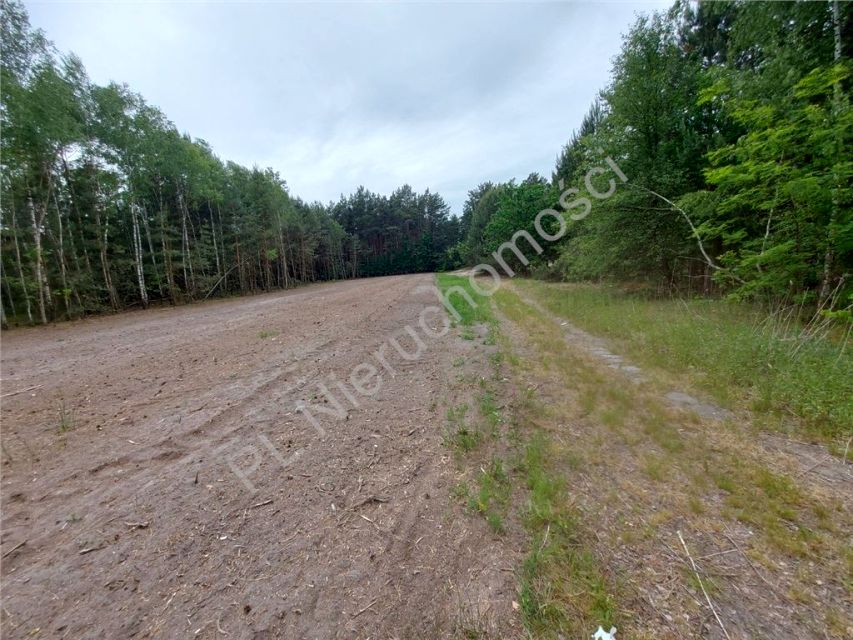 Działka budowlana Rżyska