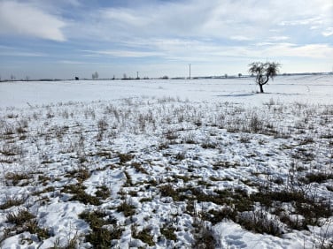 Działka budowlana Bogucin