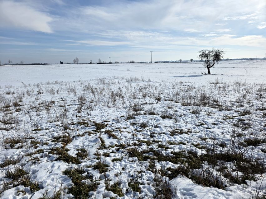 Działka budowlana Bogucin