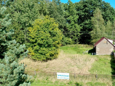 Działka budowlana Brzeziny-Kolonia