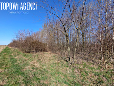 Działka budowlana Gołków