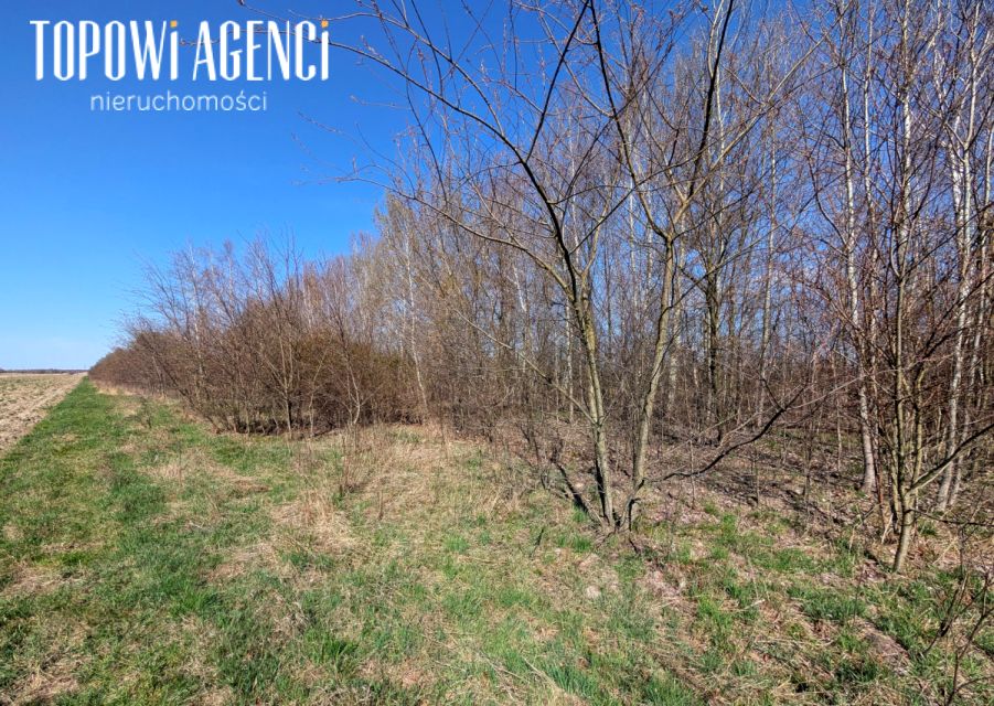 Działka budowlana Gołków