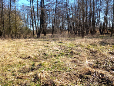 Działka rolna Grabowo