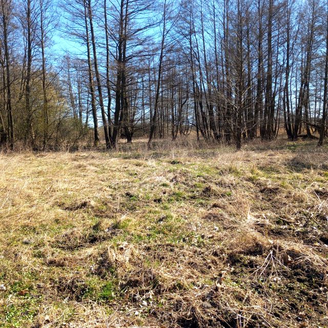 Działka rolna Grabowo