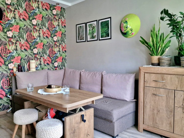 Mieszkanie Kruszwica