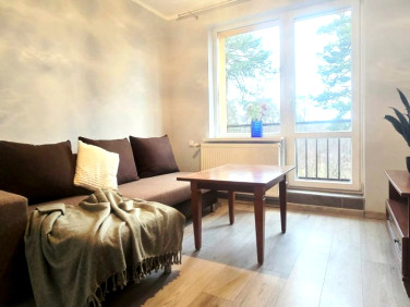 Mieszkanie Szczytnica