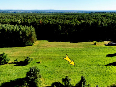 Działka inna Wszewilki