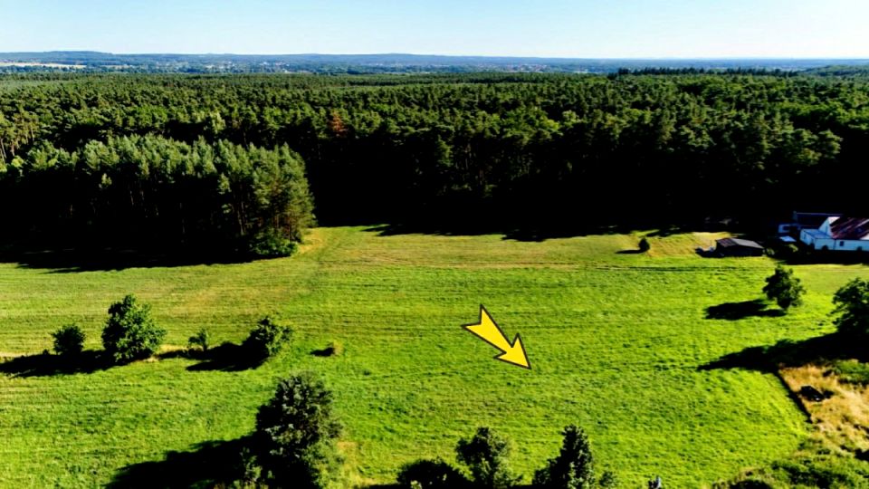 Działka inna Wszewilki