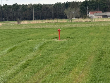 Działka Dobieszczyzna