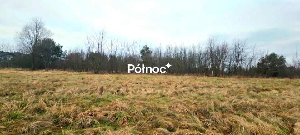 Zdjęcie 3