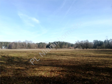 Działka rolna Suchowizna