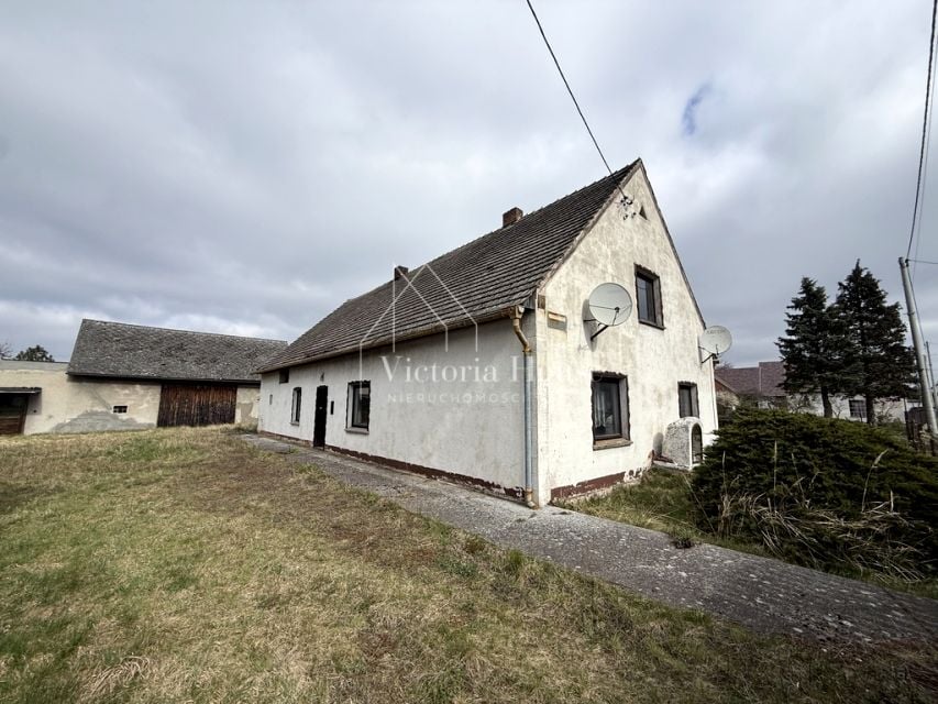 Zdjęcie 3