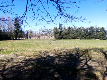 Działka Zieleniewo