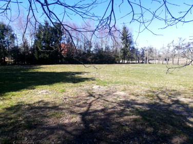 Działka Zieleniewo