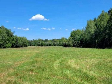 Działka budowlano-rolna Józefina