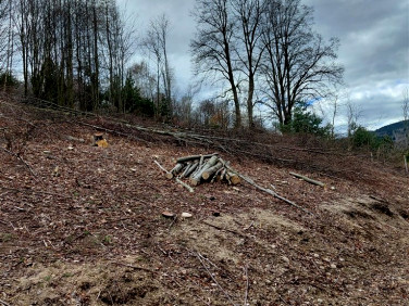 Działka budowlana Piechowice sprzedam