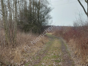 Działka budowlana Dobczyn
