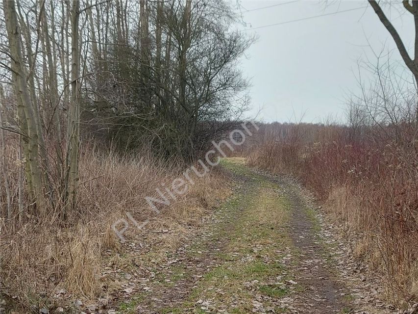 Działka budowlana Dobczyn