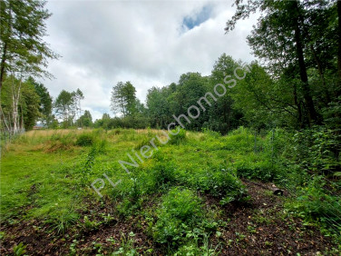 Działka budowlana Miąse