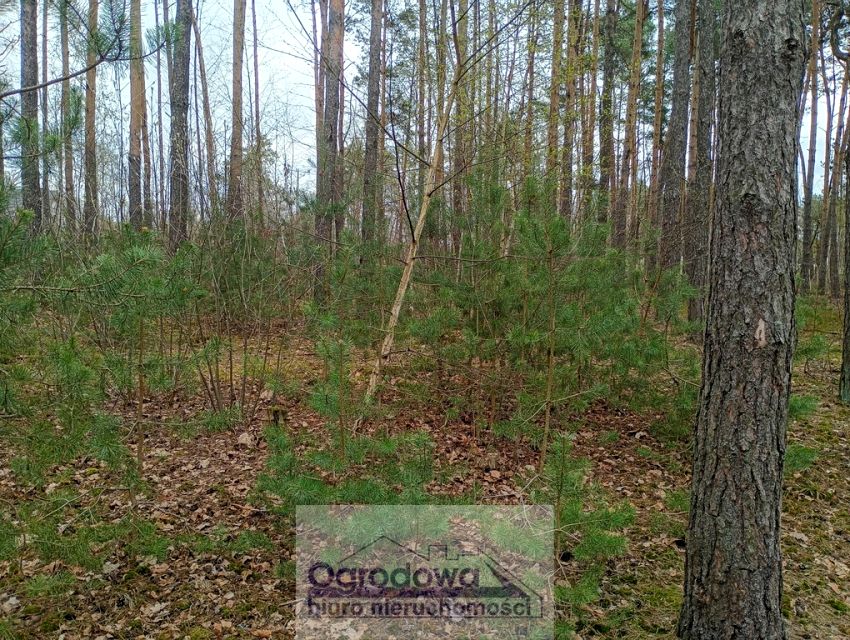 Działka budowlana Wilcza Góra