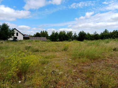 Działka budowlana Trzcińsk