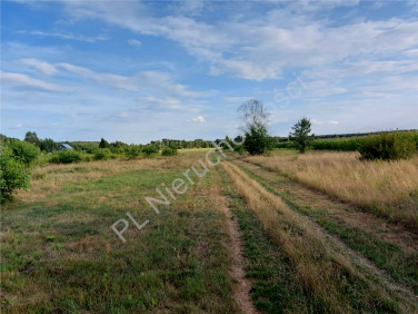 Działka budowlana Kozły