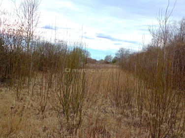 Działka inwestycyjna Skierniewice